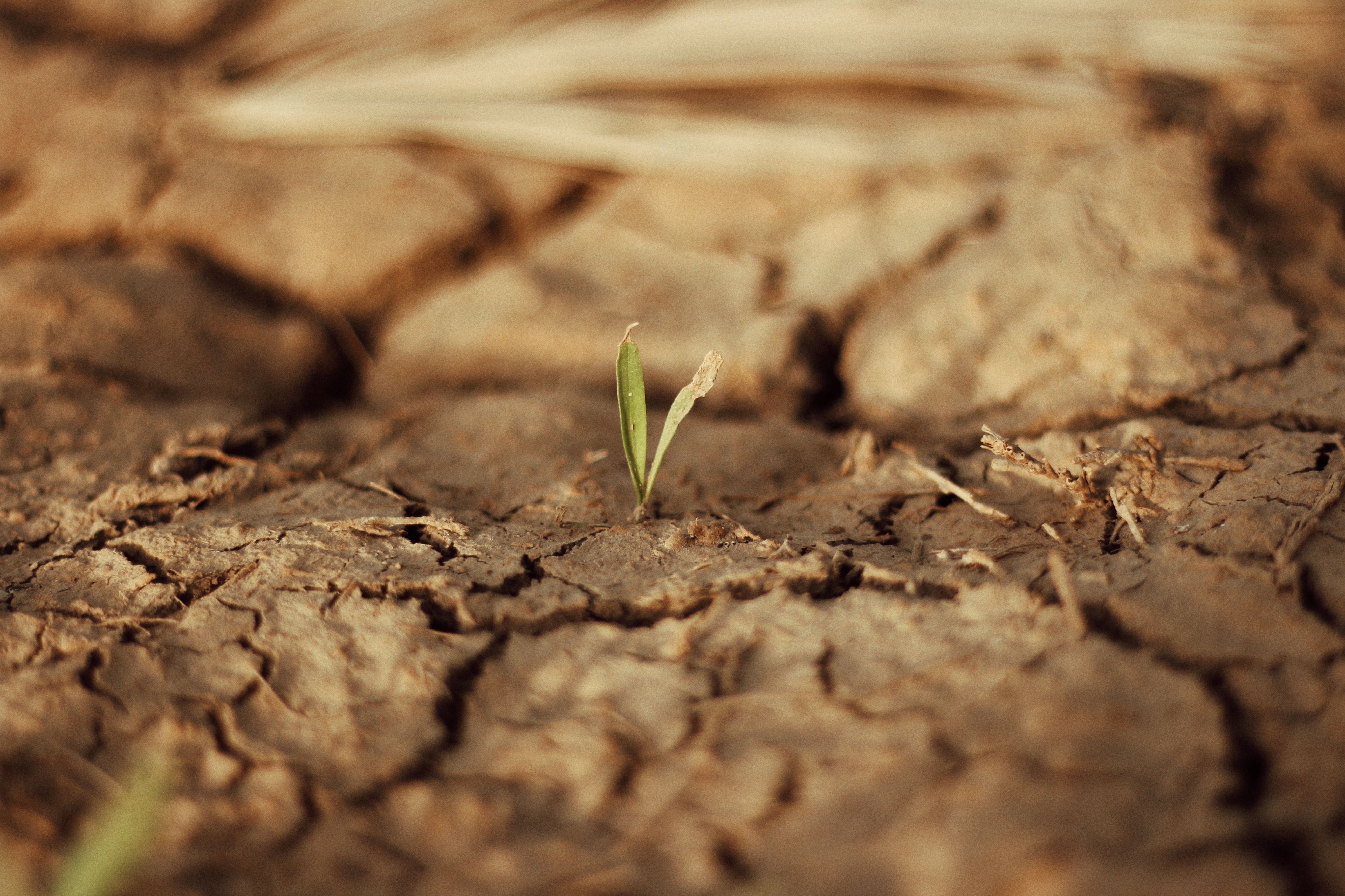 [Tribune] Climat : devant l’inaction écologique, la radicalité est une urgence vitale