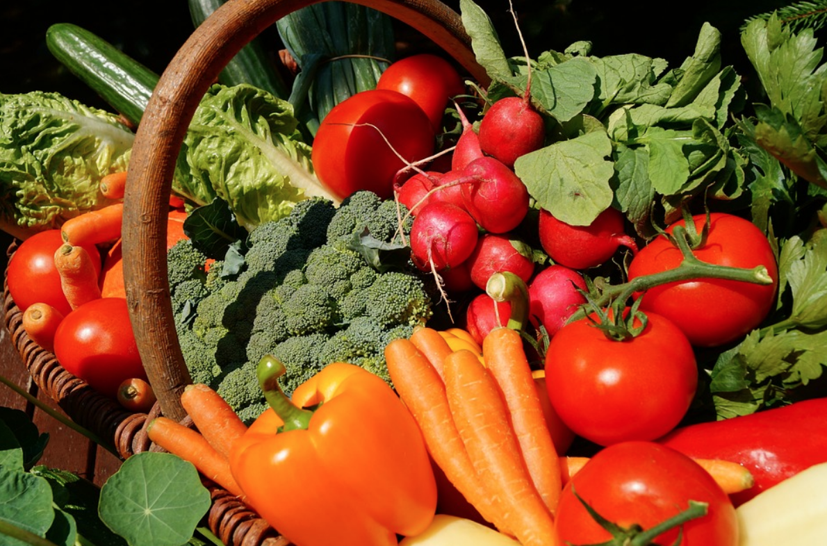 Journée mondiale de l’alimentation René Dumont, tort d’avoir eu raison trop tôt