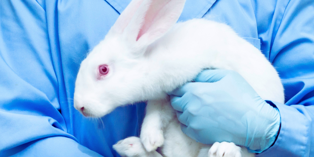 [Tribune] Refuser l’expérimentation animale, un droit fondamental