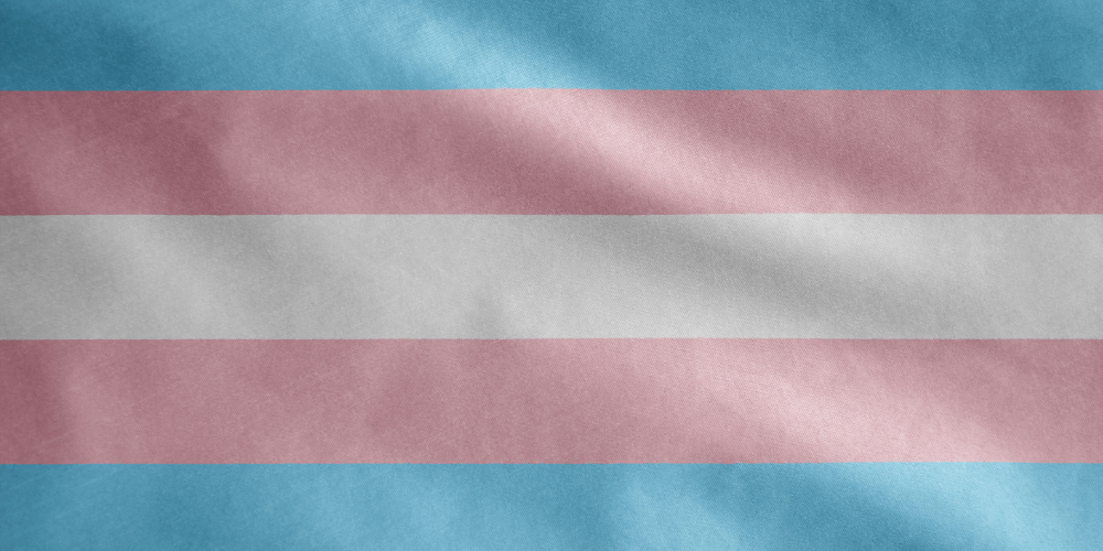 [Communiqué] Loi transphobe : face à l’hypocrisie gouvernementale, la REV appelle les parlementaires à voter contre