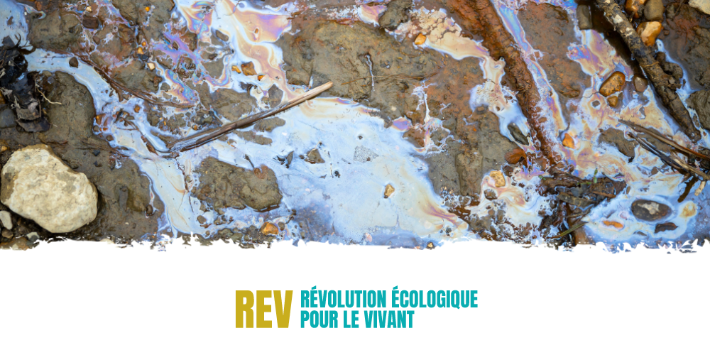 [Communiqué] La REV dénonce un scandale sanitaire et écologique à Noues-de-Sienne