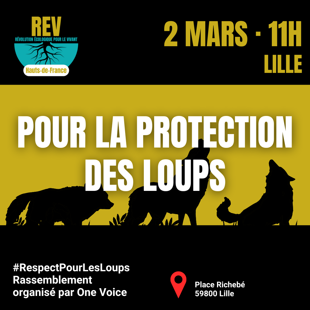 Manif #RespectPourLesLoups organisée par One Voice à Lille