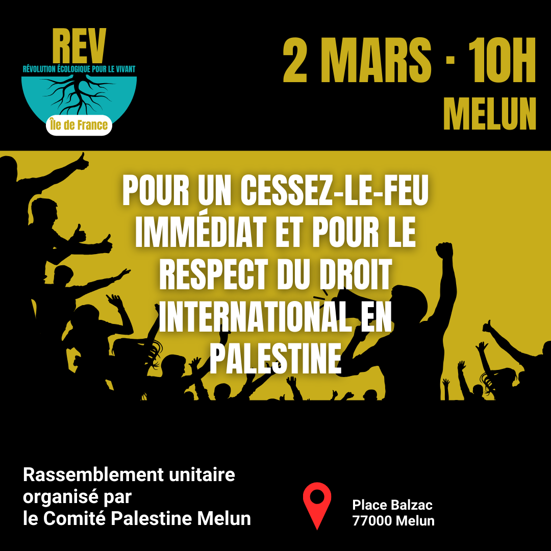 Rassemblement unitaire pour un cessez-le-feu en Palestine | Melun