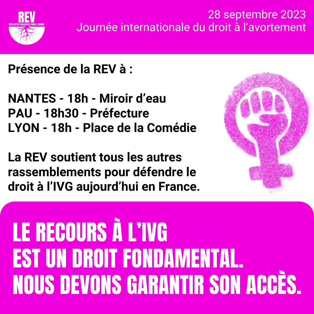 La REV au rassemblement de Lyon pour défendre le droit à l'IVG