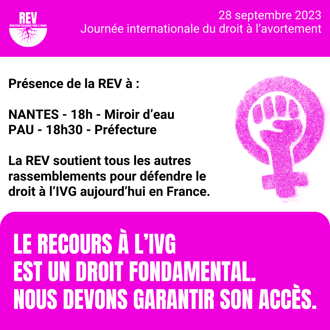 La REV au rassemblement de Nantes pour défendre le droit à l'IVG