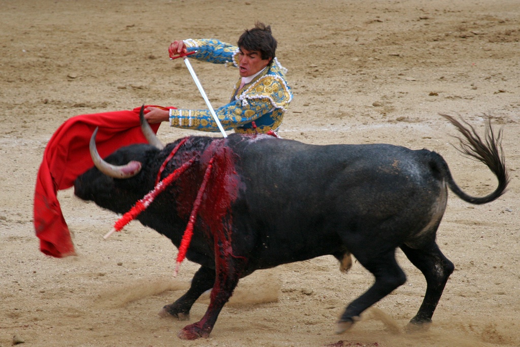 Tauromachie en France : vers un déclin certain