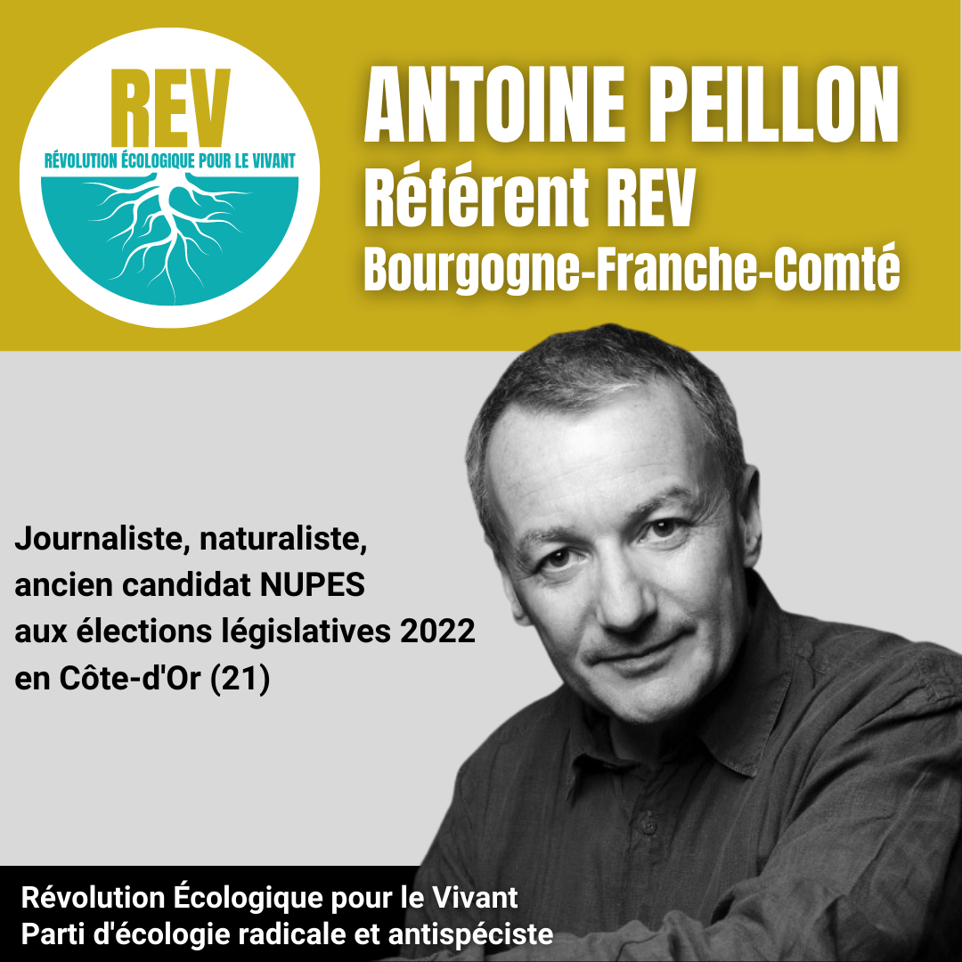"Je rejoins la REV !" | Déclaration d'Antoine Peillon, journaliste et naturaliste
