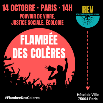 Manif Flambée des Colères à Paris
